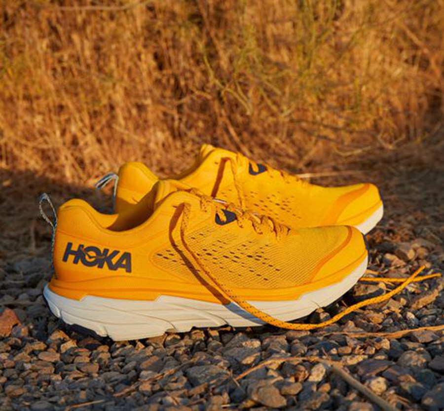 Tenis Trail Hoka One One Masculino Amarelas - Challenger Atr 6 - 439-HWUEIT